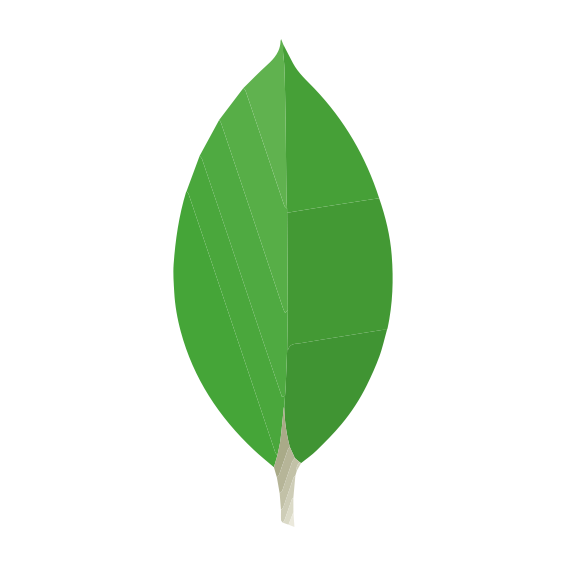 MongoDB logo